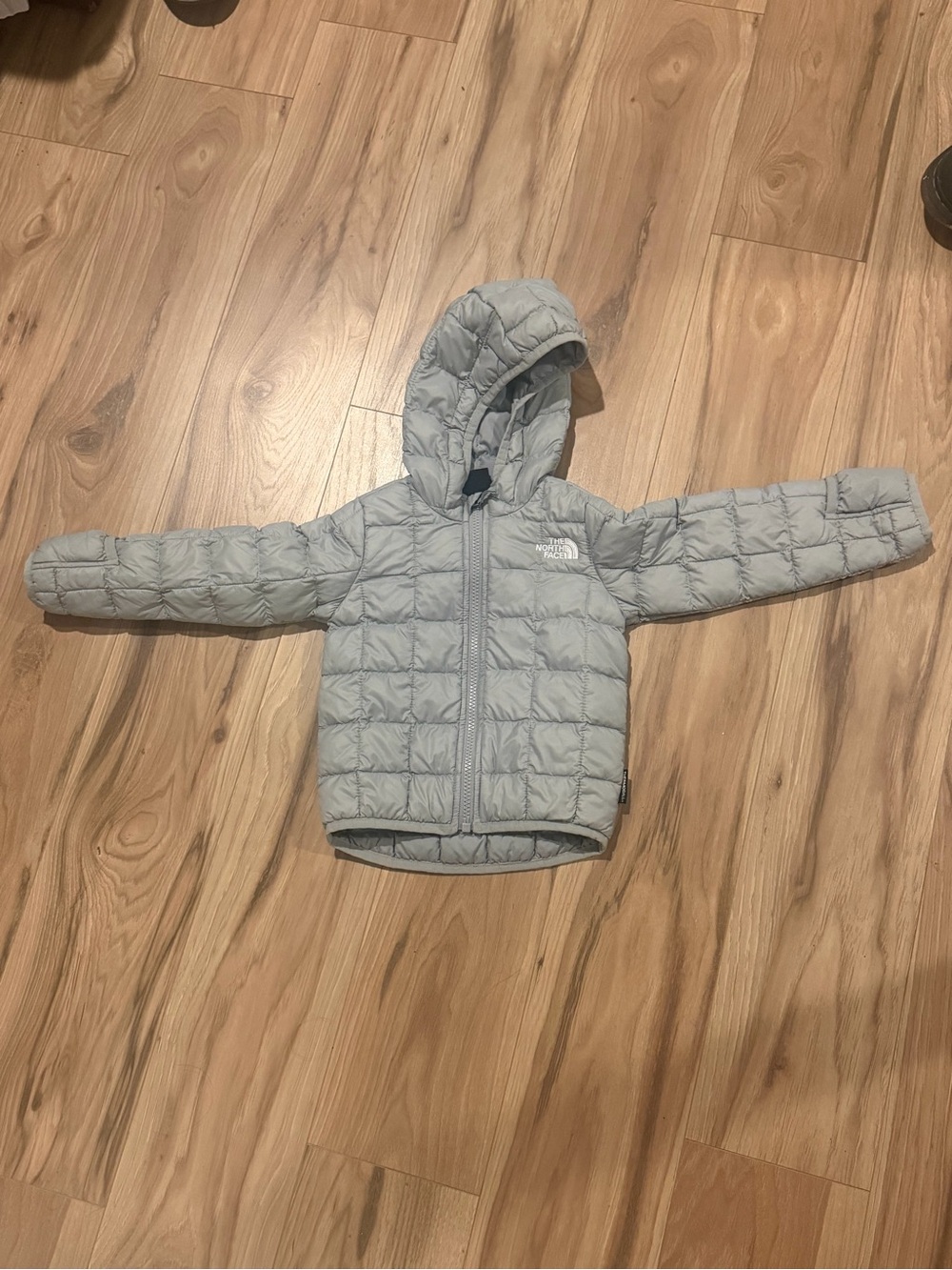 The North Face Light Gray Hooded Puffer Jacket